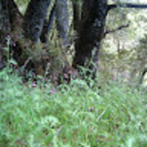 Meet your Posher, Mollie